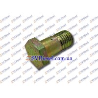 Болт перепускний (M12x1.5 Foro Ø0.55) 10-01-001 (BOSCH 1 463 456 303)